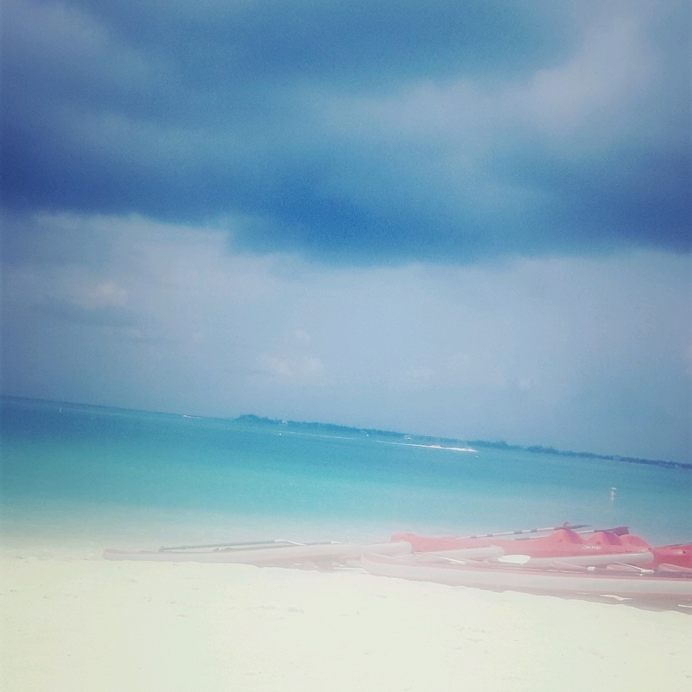 Meet your Posher, Jeanny